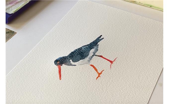 Oyster Catcher Demonstration