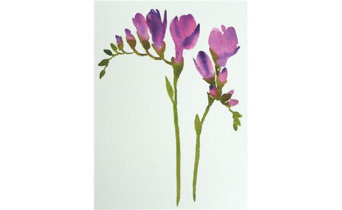 Fiona Paints Freesias