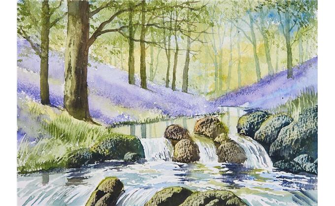 Bluebell Waterfalls