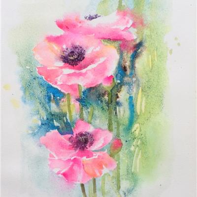 Icelandic Poppies