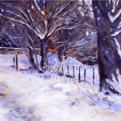 FORGOTTEN FOOTPATH 10 X 12 INCHES