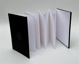 Buy Concertina SENNELIER Sketch Book Online