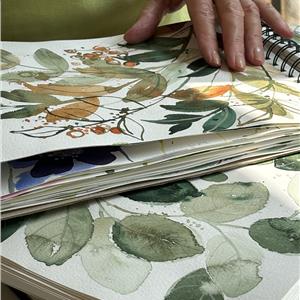 Buy Letting Go (a calm approach) Online