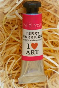 Buy ARTISTS WATERCOLOUR Wild Rose Online