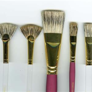 Buy Terry's Super Favourites (Five Brush Set) Online