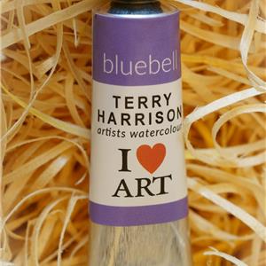 Buy ARTISTS WATERCOLOUR Bluebell Online