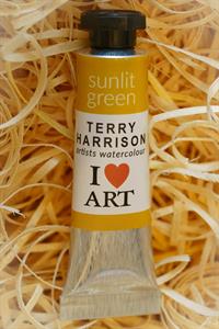 Buy ARTISTS WATERCOLOUR Sunlit Green Online