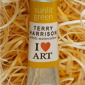 Buy ARTISTS WATERCOLOUR Sunlit Green Online