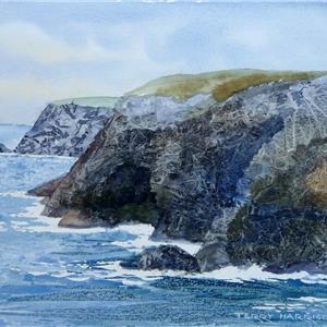 Buy On The Cliff Tops 9 x 9.5 inches watercolour on watercolour paper Online