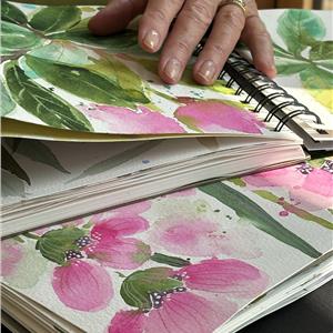 Buy Bold and Bright Online