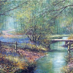 Buy Woodland Stream - Print 8 x 16 inches Online